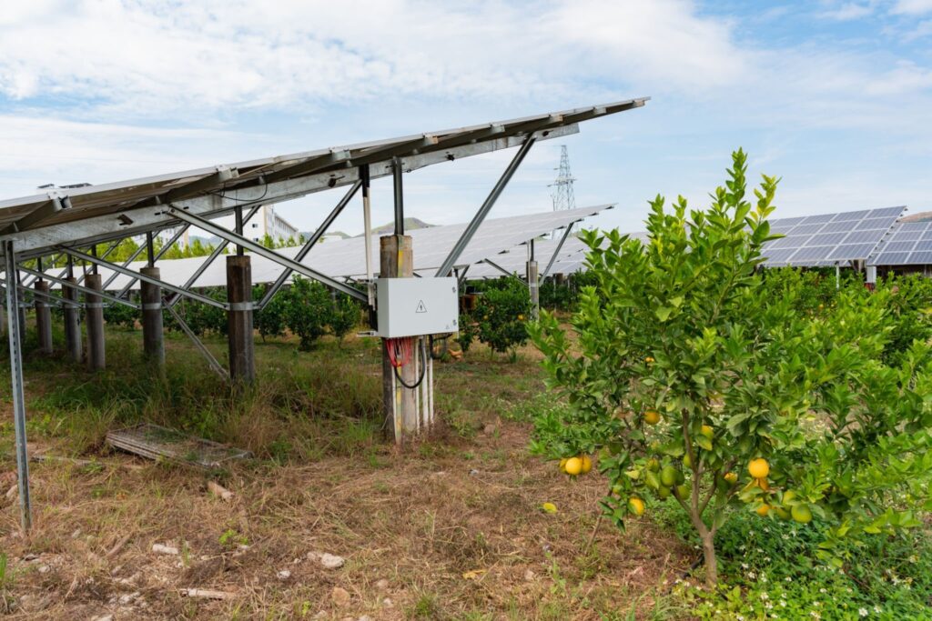 solar panels in the uk